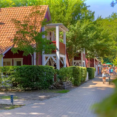 Duenenhaeuser Unserusedomde Ca40qm Direkt Am 1i1