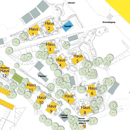 דירה Duenenhaeuser Unserusedomde Ca40qm Direkt Am 1i1